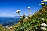 201108141245-AJS_7408.jpg